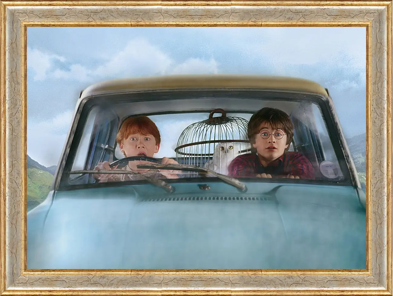 Картина в раме - Harry Potter and the Chamber of Secrets