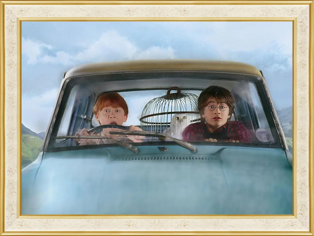 Картина в раме - Harry Potter and the Chamber of Secrets