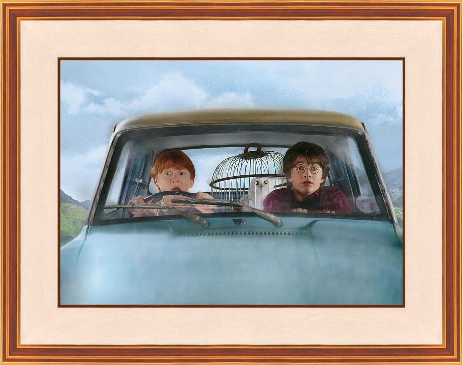 Картина в раме - Harry Potter and the Chamber of Secrets