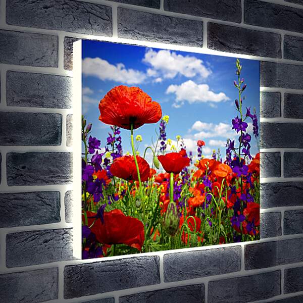 Лайтбокс световая панель - Маки и фиолетовые цветы