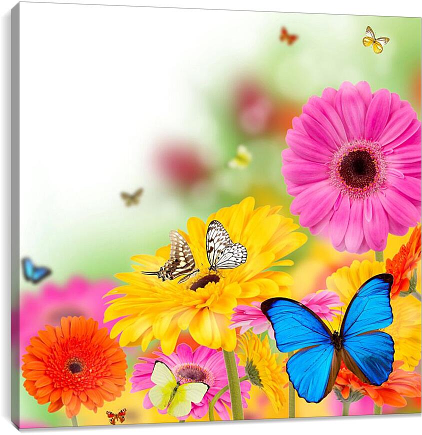 Постер и плакат - Разноцветные бабочки и герберы