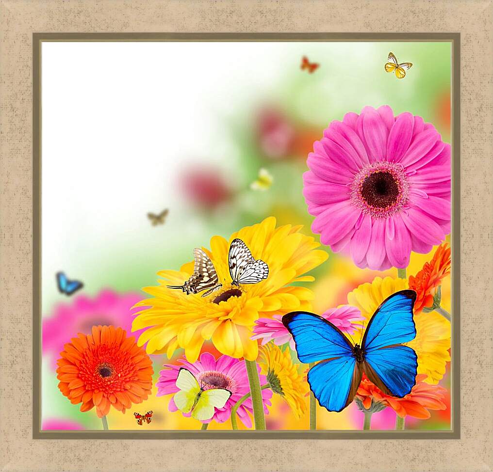 Картина в раме - Разноцветные бабочки и герберы