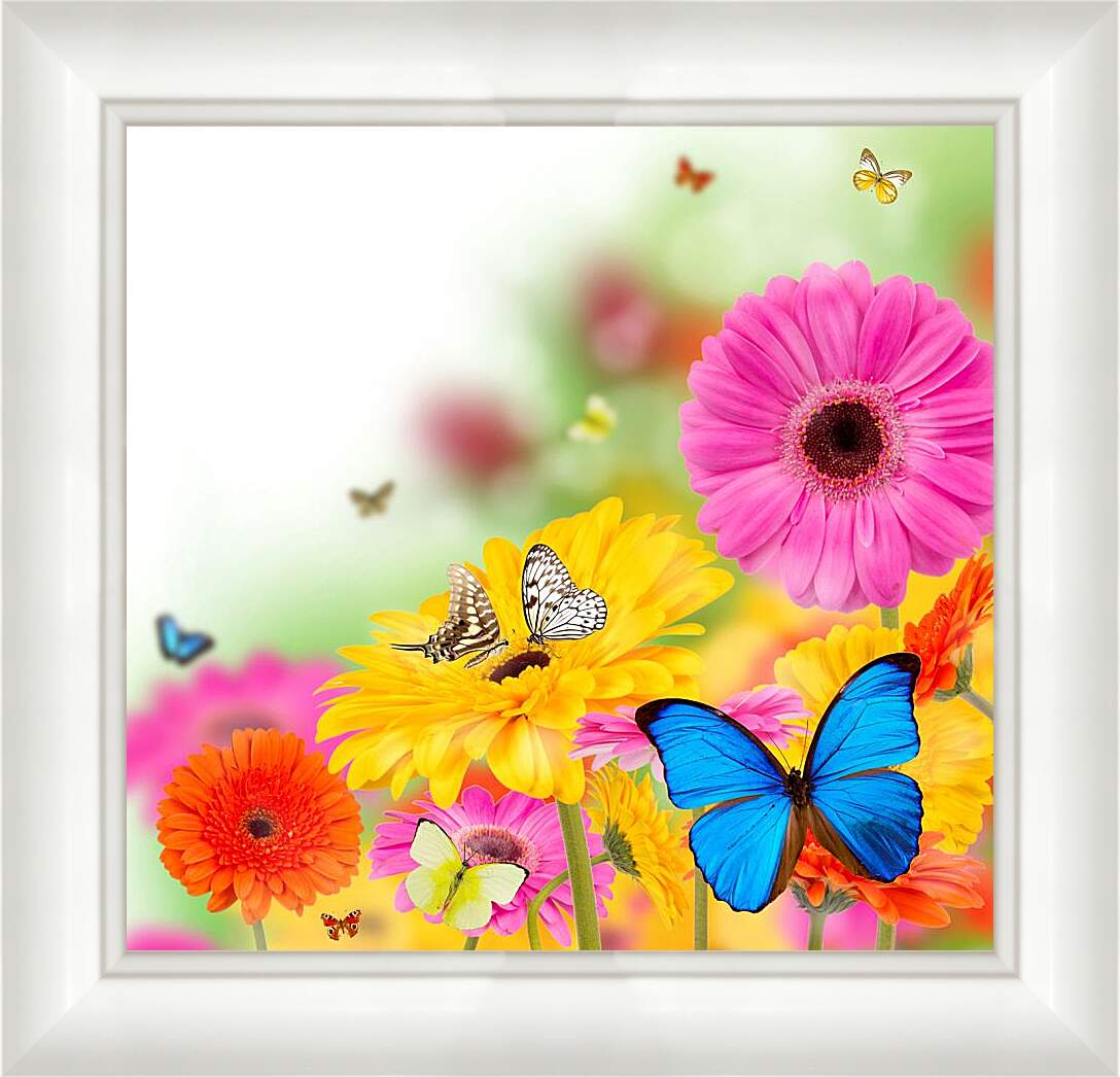 Картина в раме - Разноцветные бабочки и герберы