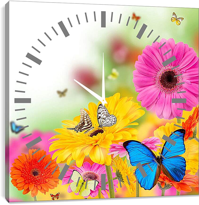 Часы картина - Разноцветные бабочки и герберы