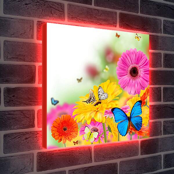 Лайтбокс световая панель - Разноцветные бабочки и герберы