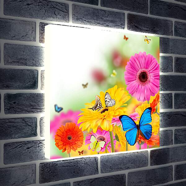 Лайтбокс световая панель - Разноцветные бабочки и герберы