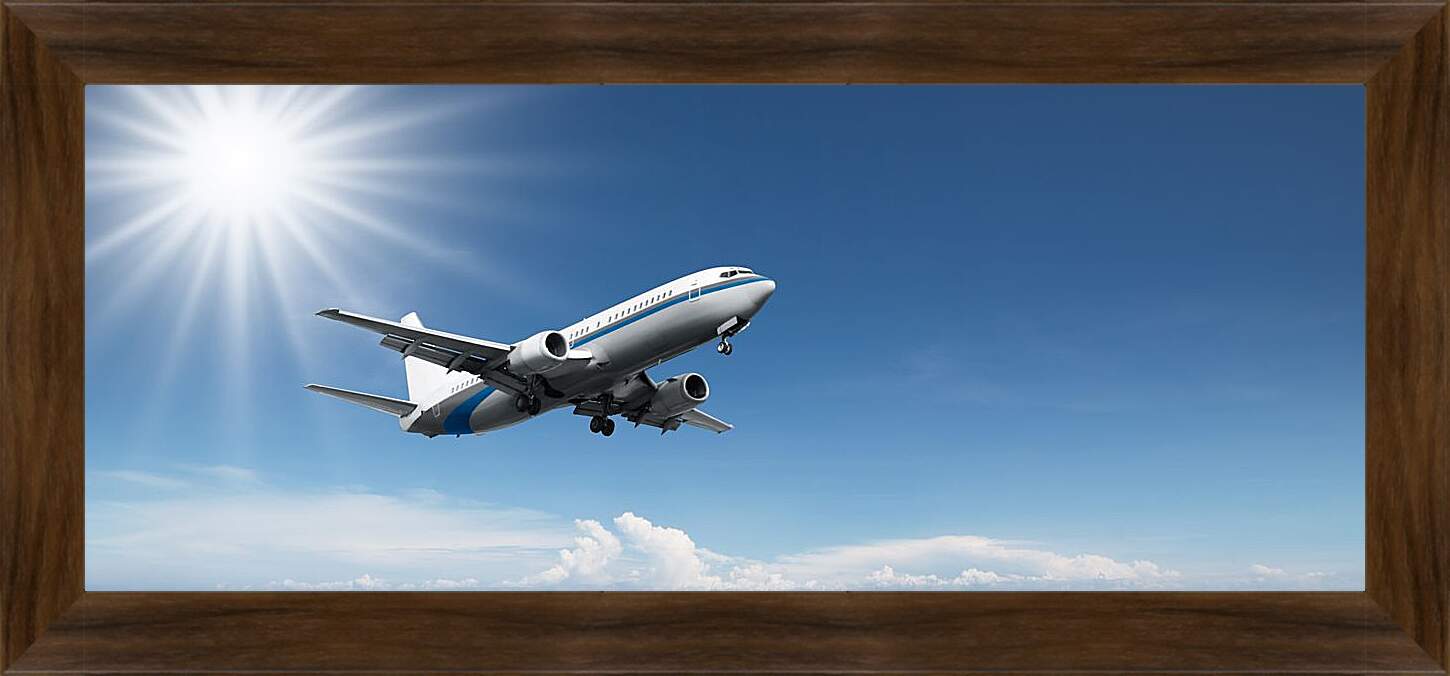 Картина в раме - Полет самолета