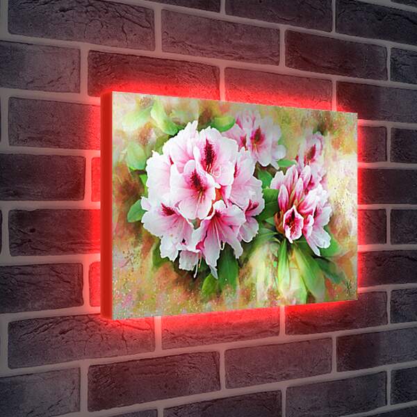 Лайтбокс световая панель - Красивые цветы