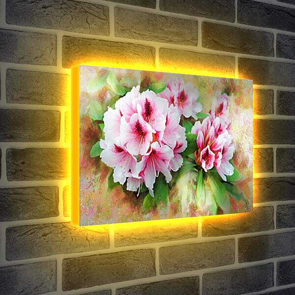 Лайтбокс световая панель - Красивые цветы