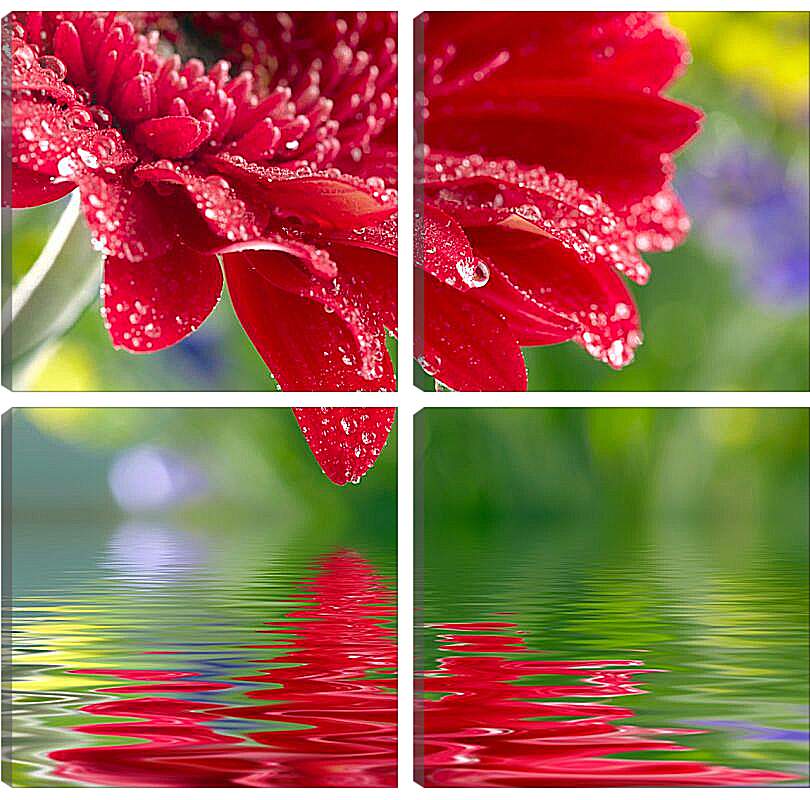 Модульная картина - Красный цветок над водой