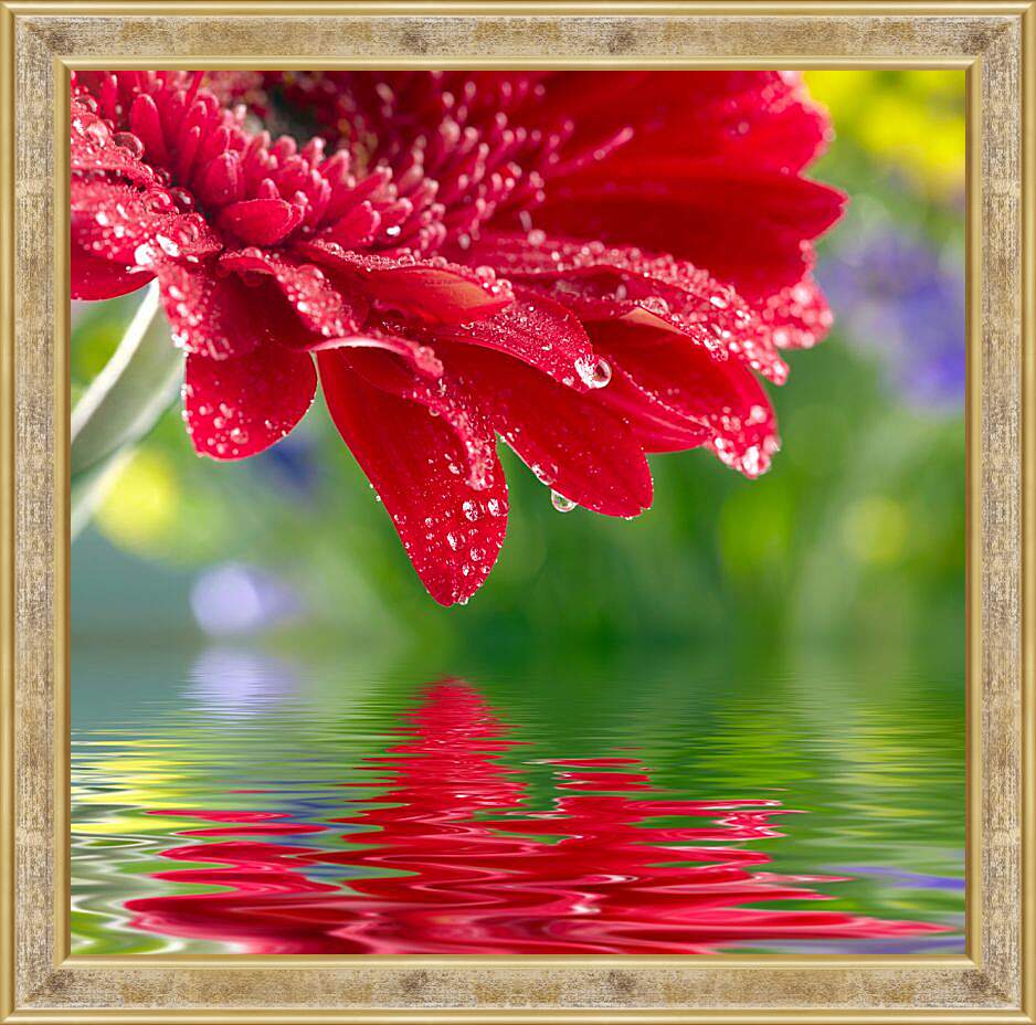 Картина в раме - Красный цветок над водой