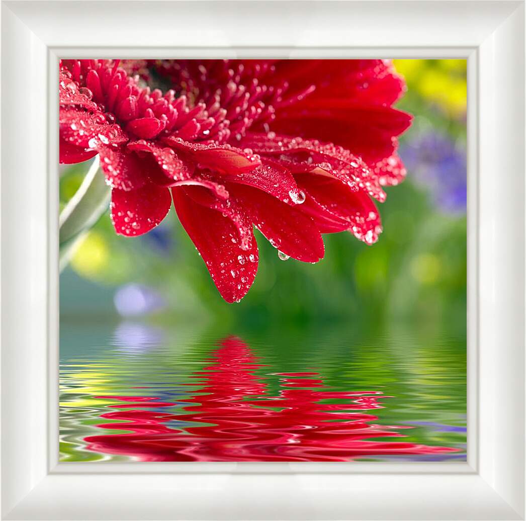 Картина в раме - Красный цветок над водой