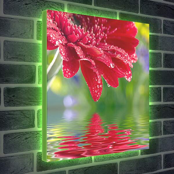 Лайтбокс световая панель - Красный цветок над водой