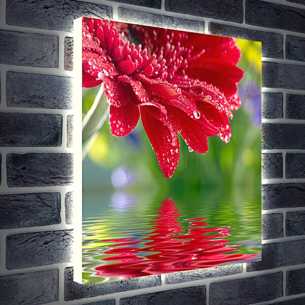 Лайтбокс световая панель - Красный цветок над водой