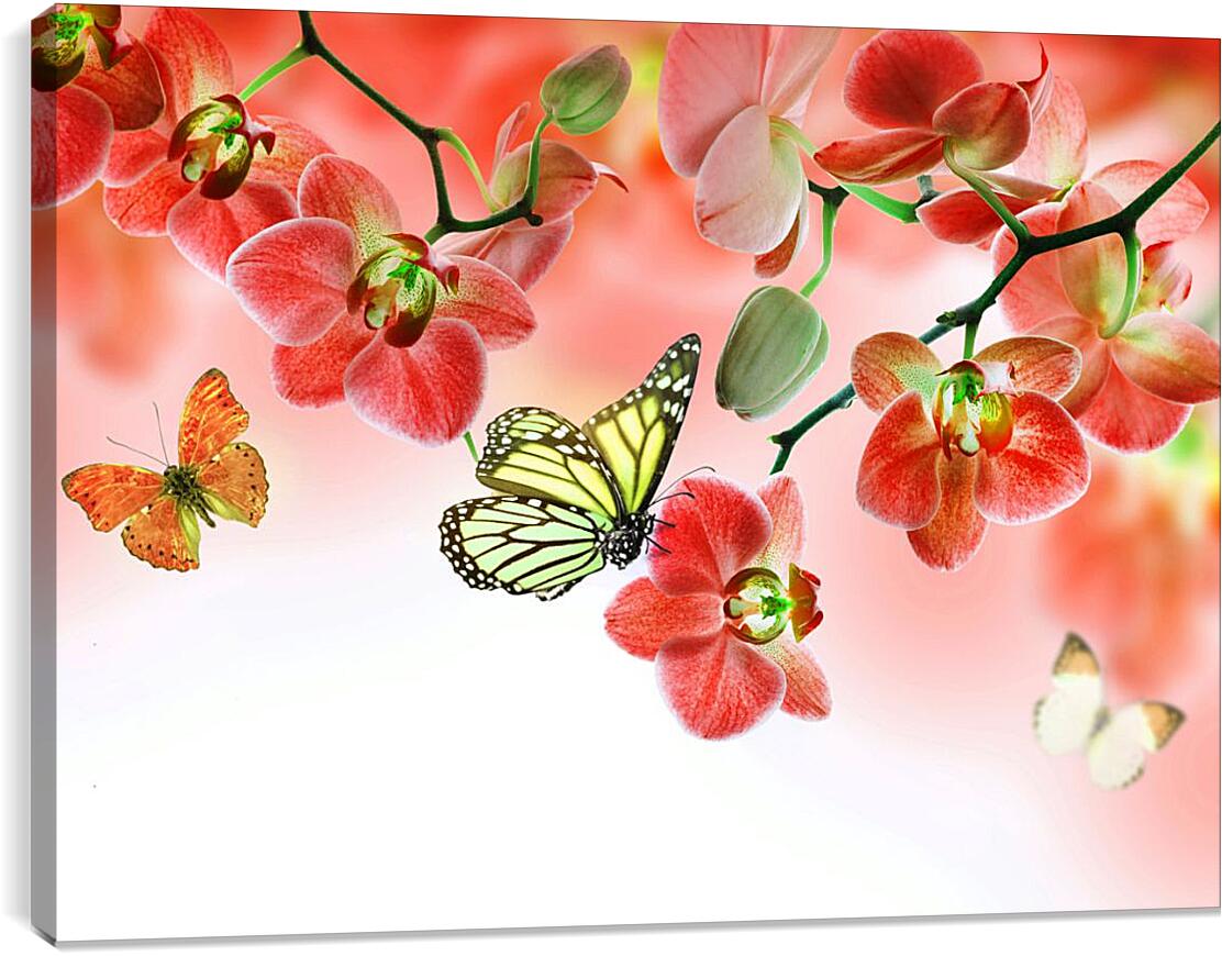 Постер и плакат - Бабочки и красные орхидеи