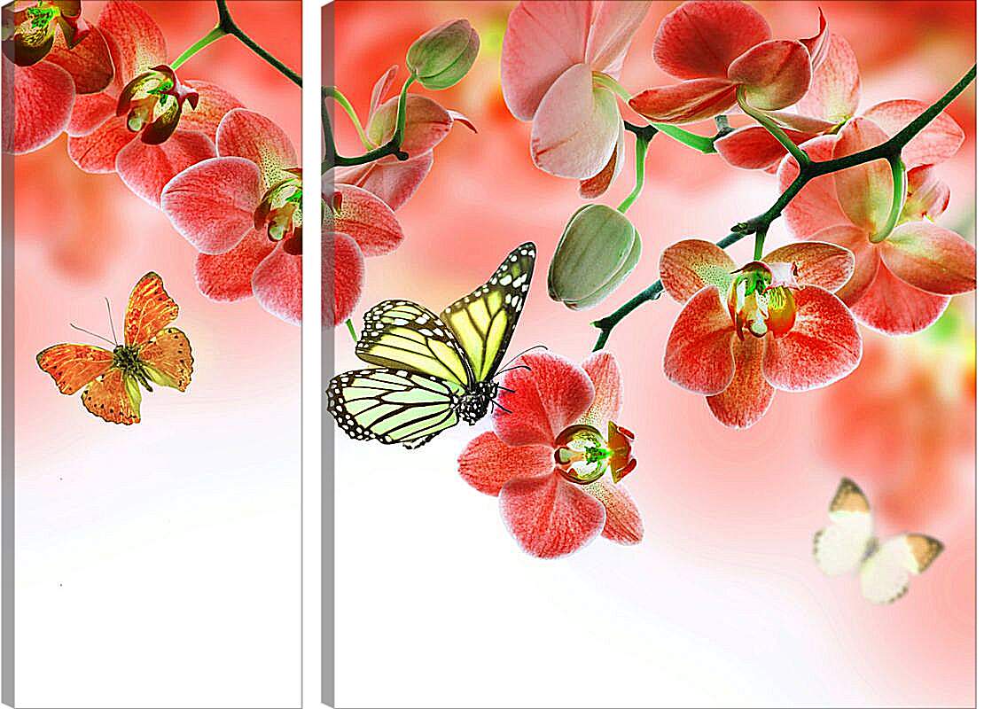 Модульная картина - Бабочки и красные орхидеи