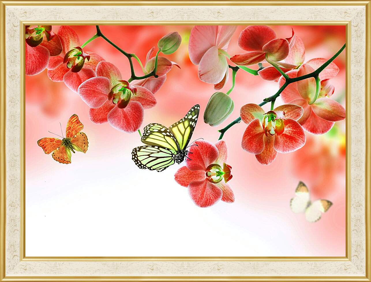 Картина в раме - Бабочки и красные орхидеи