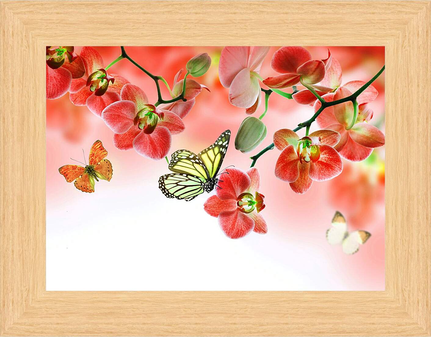 Картина в раме - Бабочки и красные орхидеи