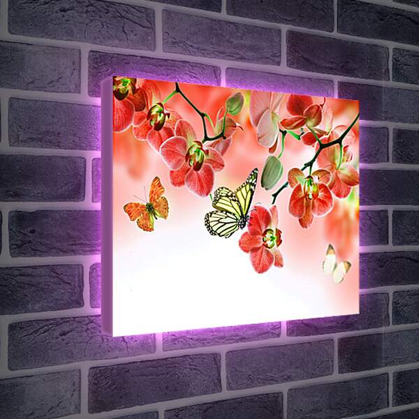 Лайтбокс световая панель - Бабочки и красные орхидеи