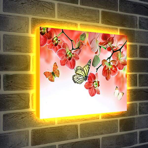 Лайтбокс световая панель - Бабочки и красные орхидеи