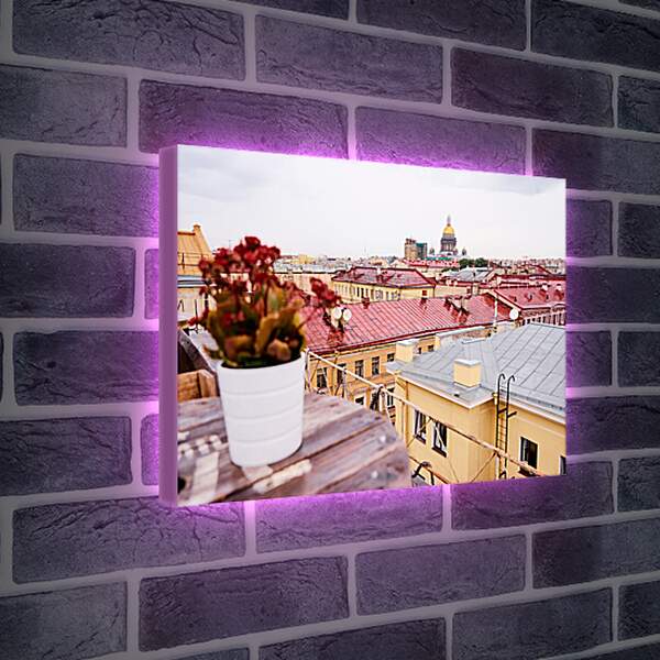 Лайтбокс световая панель - Сант-Петербург