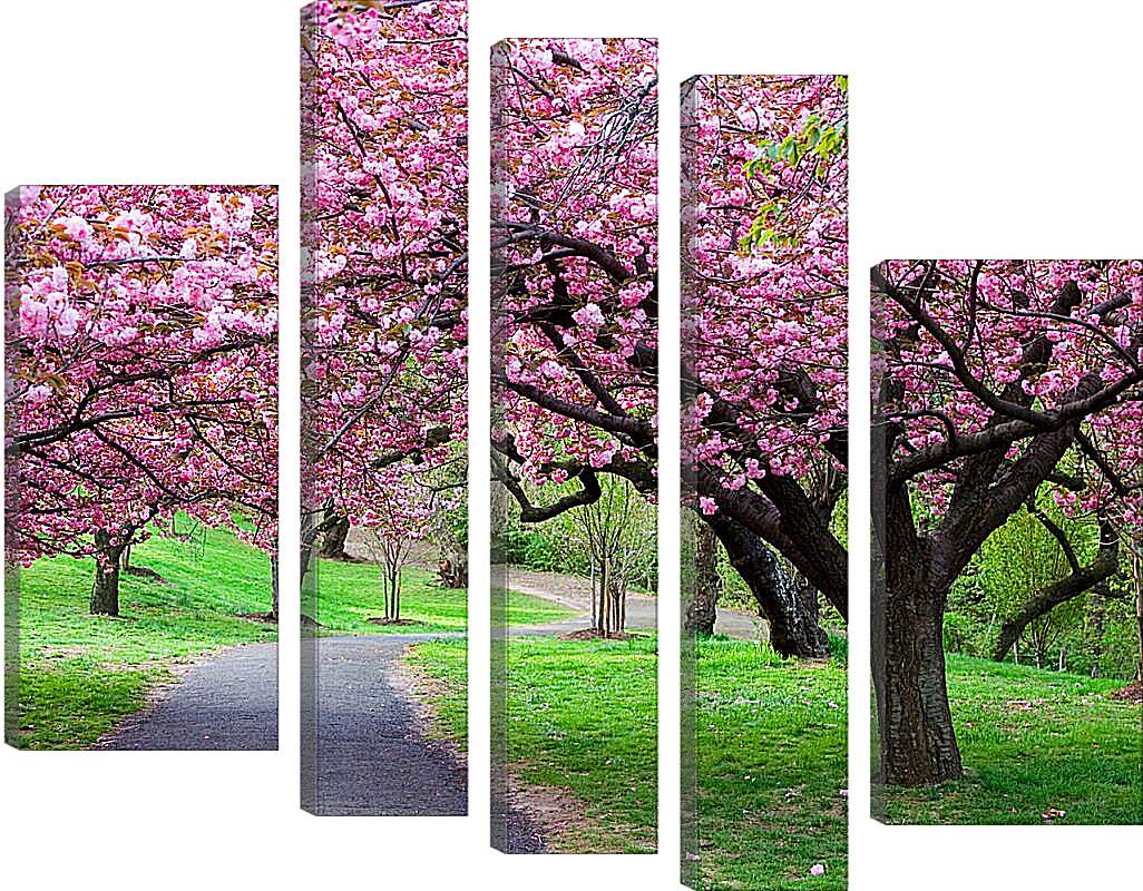Модульная картина - Розовые деревья в парке