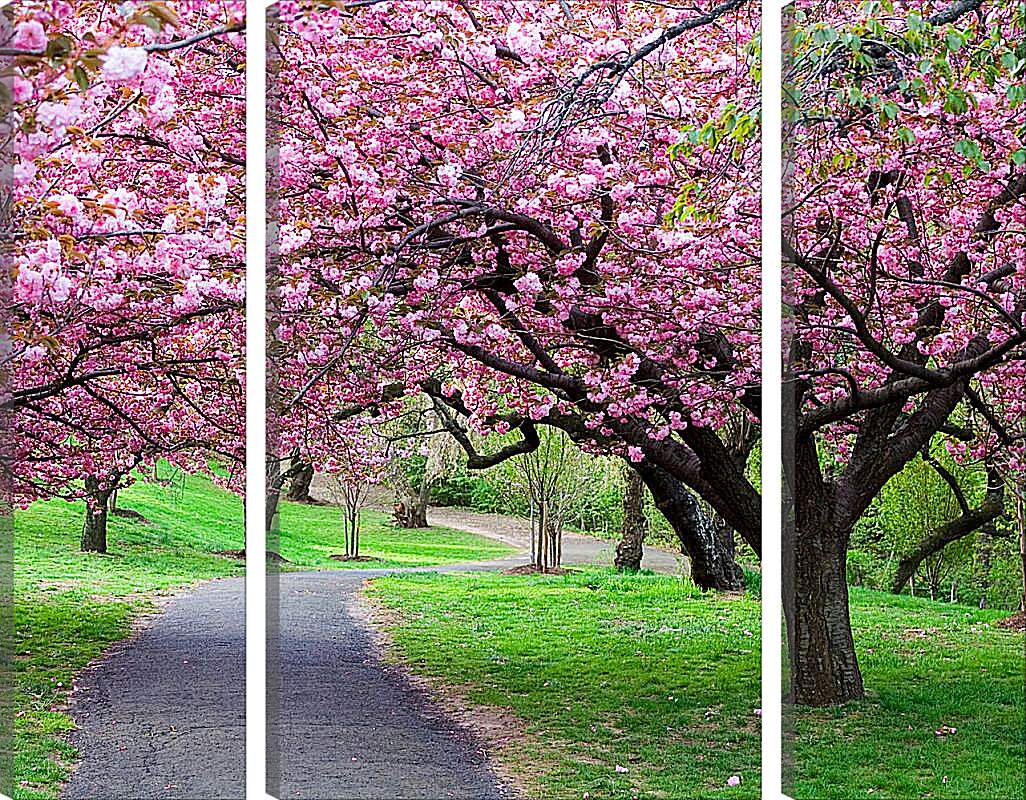 Модульная картина - Розовые деревья в парке