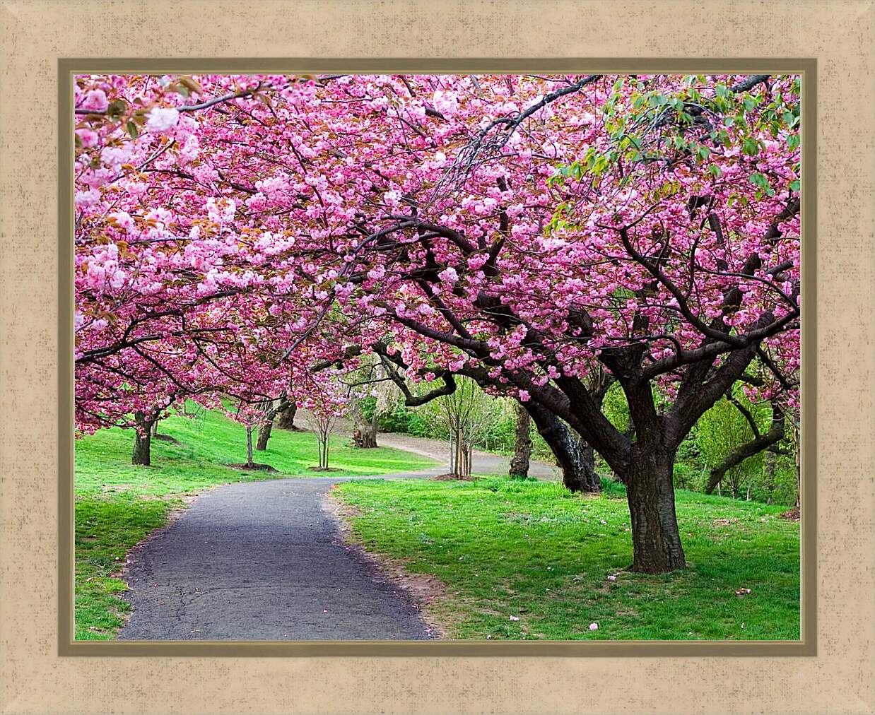 Картина в раме - Розовые деревья в парке