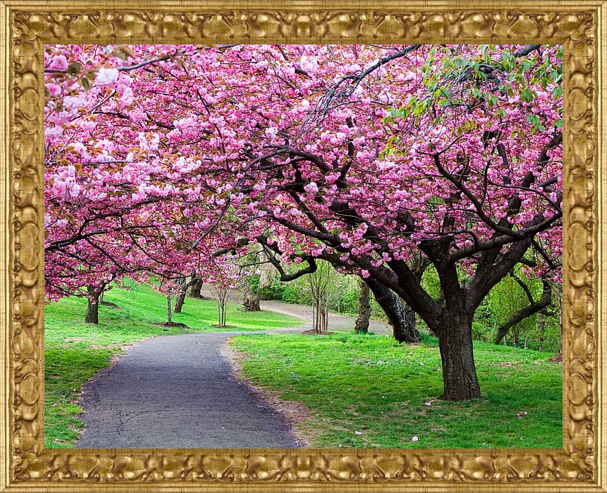 Картина в раме - Розовые деревья в парке