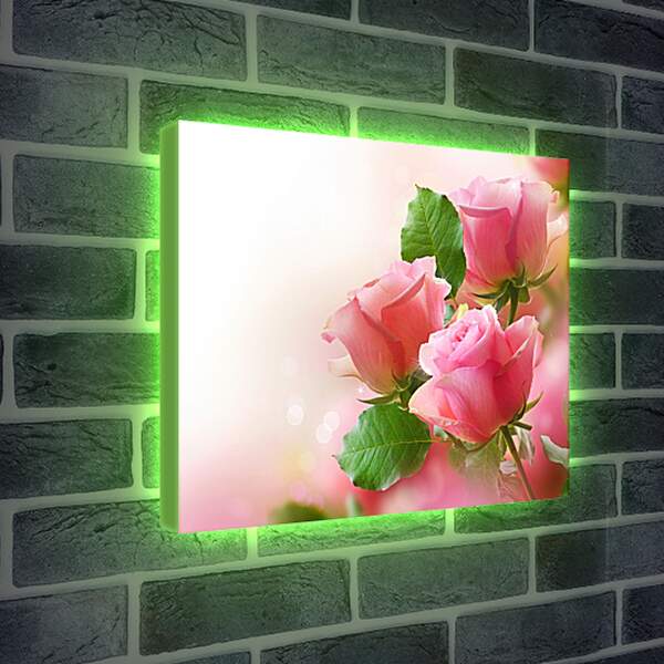 Лайтбокс световая панель - Розы на ветке