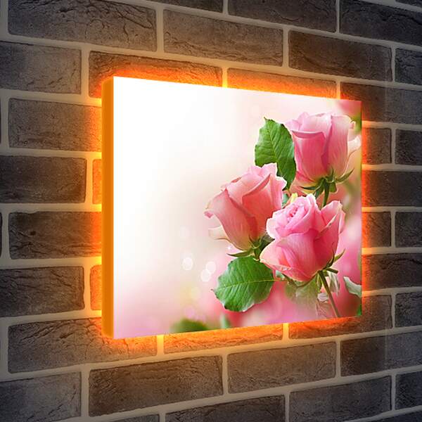 Лайтбокс световая панель - Розы на ветке