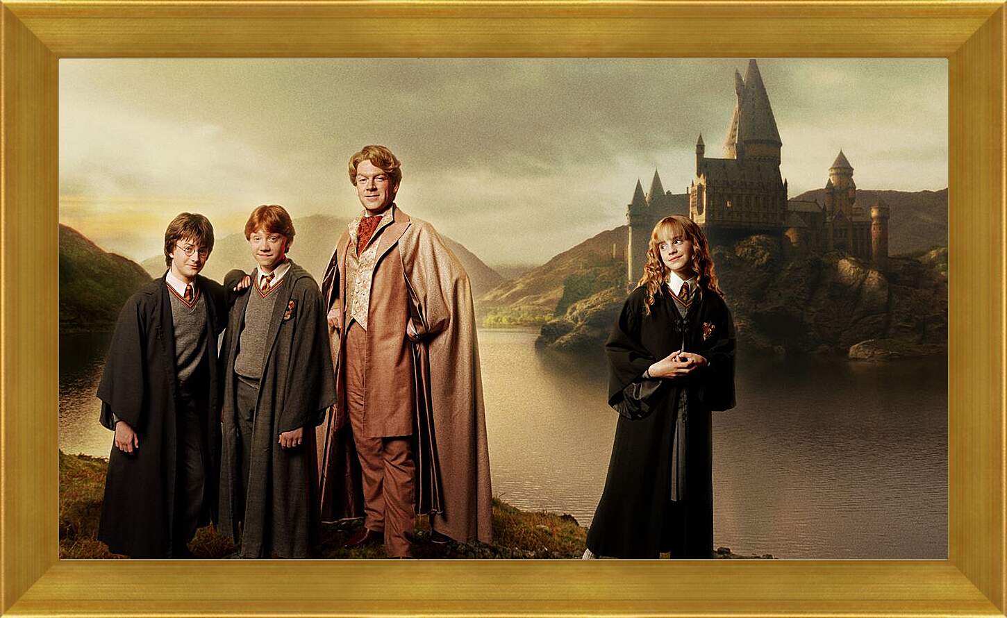 Картина в раме - Harry Potter