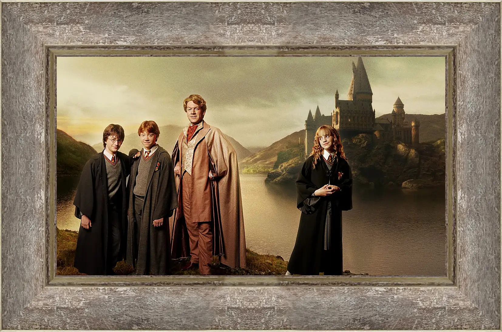 Картина в раме - Harry Potter
