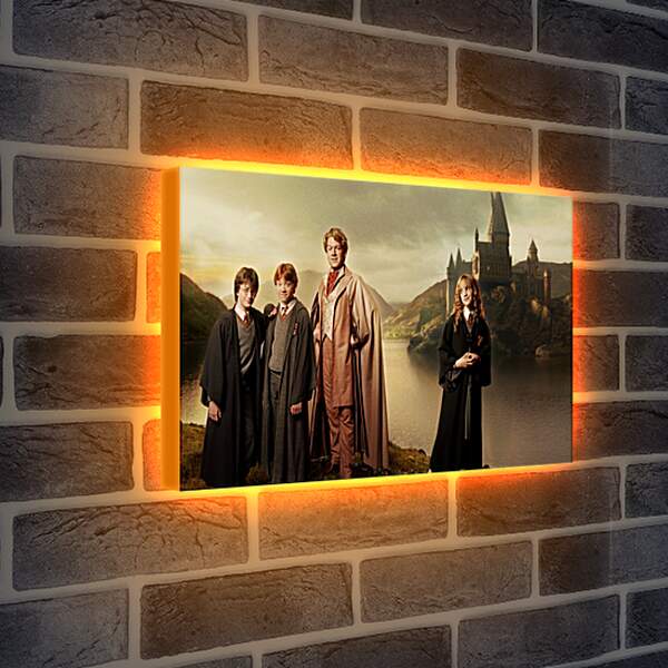 Лайтбокс световая панель - Harry Potter