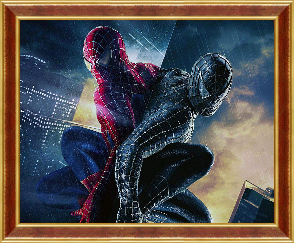 Картина в раме - Человек паук чёрный