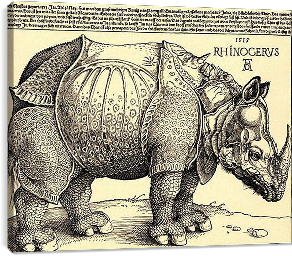 Постер и плакат - Rhinoceros. Носорог. Альбрехт Дюрер
