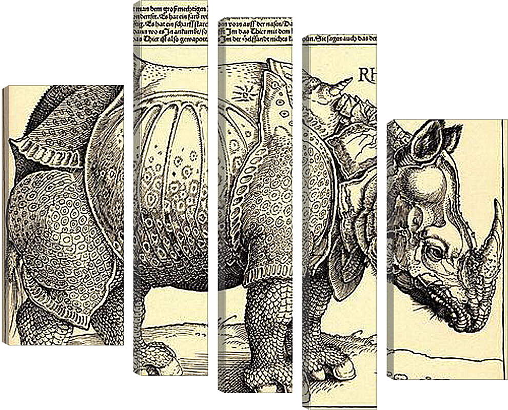 Модульная картина - Rhinoceros. Носорог. Альбрехт Дюрер