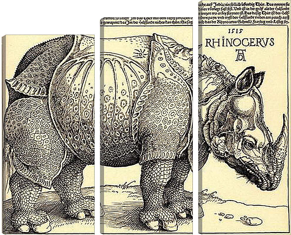 Модульная картина - Rhinoceros. Носорог. Альбрехт Дюрер