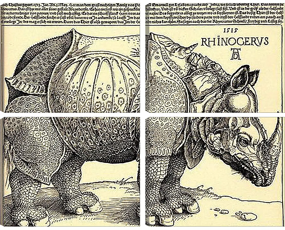 Модульная картина - Rhinoceros. Носорог. Альбрехт Дюрер