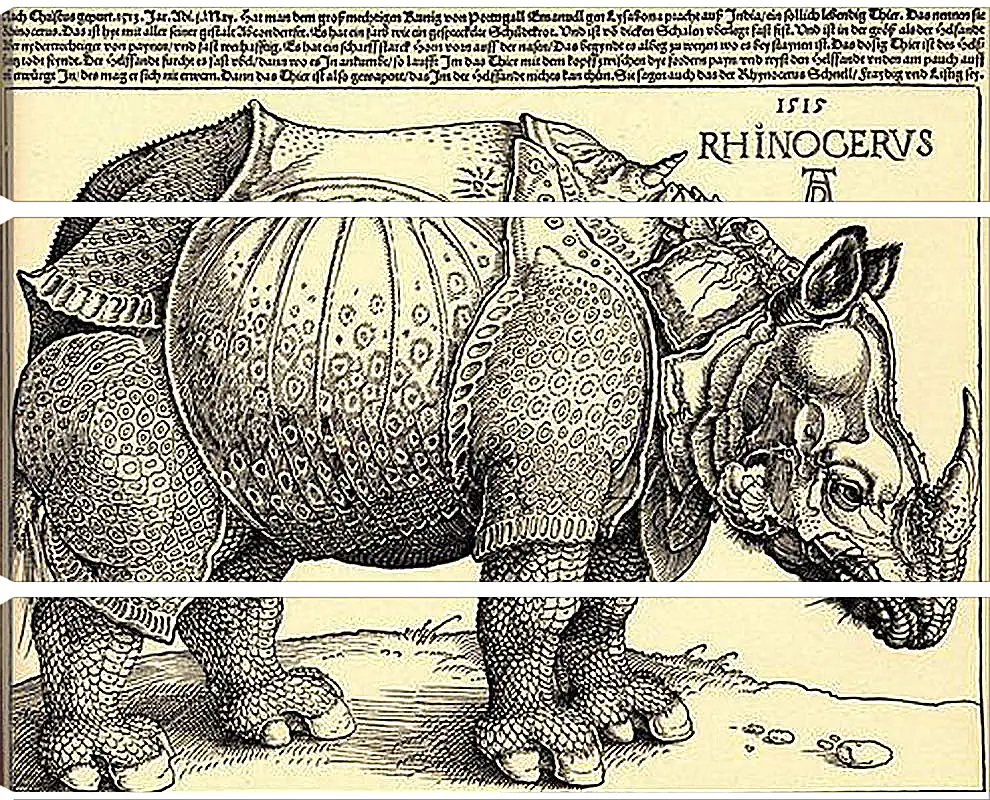 Модульная картина - Rhinoceros. Носорог. Альбрехт Дюрер