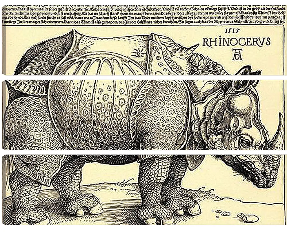 Модульная картина - Rhinoceros. Носорог. Альбрехт Дюрер