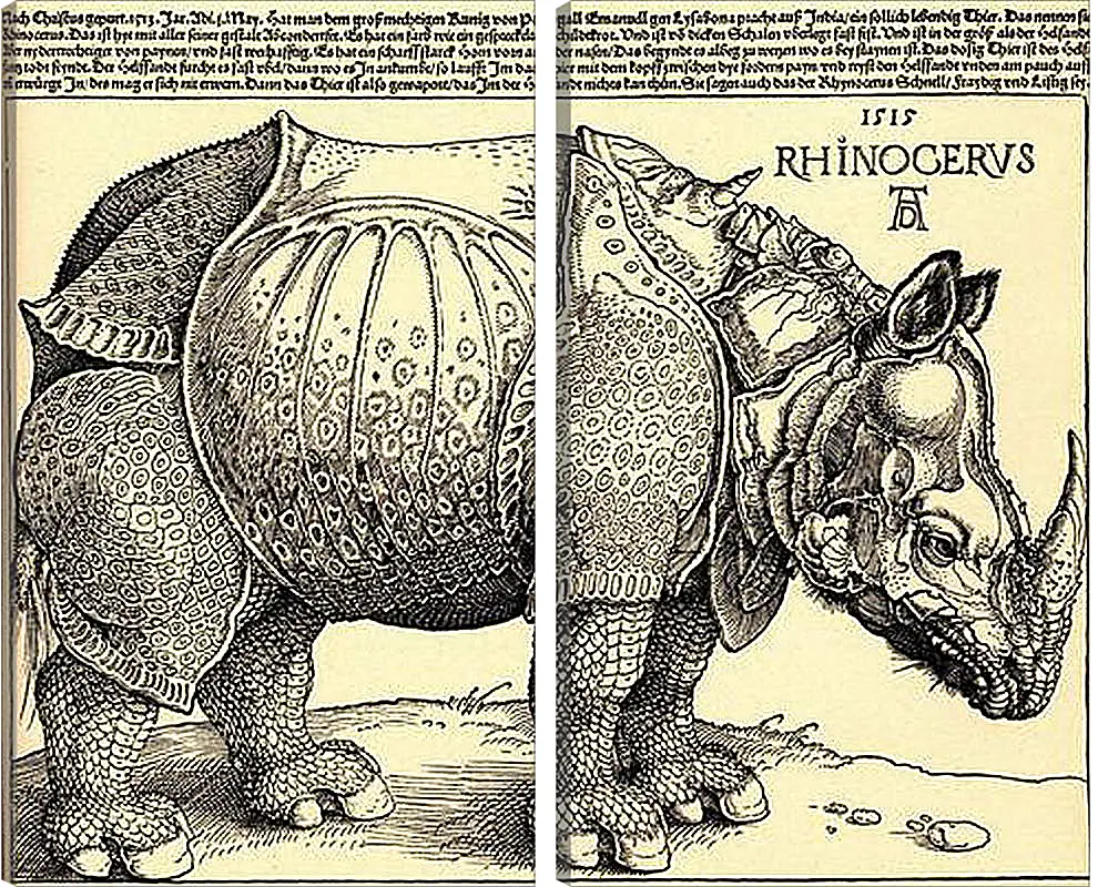 Модульная картина - Rhinoceros. Носорог. Альбрехт Дюрер