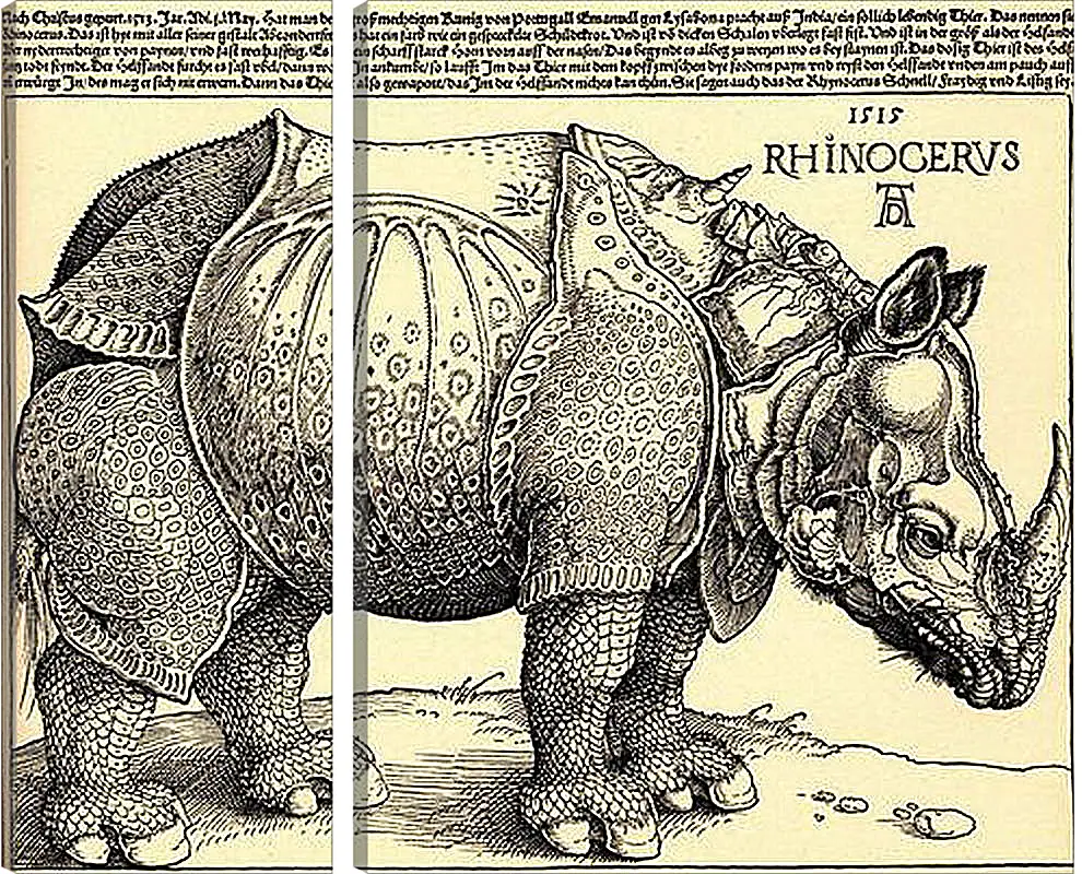 Модульная картина - Rhinoceros. Носорог. Альбрехт Дюрер