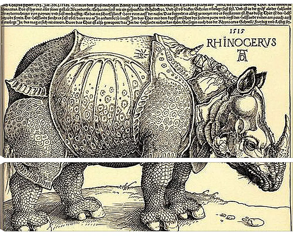 Модульная картина - Rhinoceros. Носорог. Альбрехт Дюрер