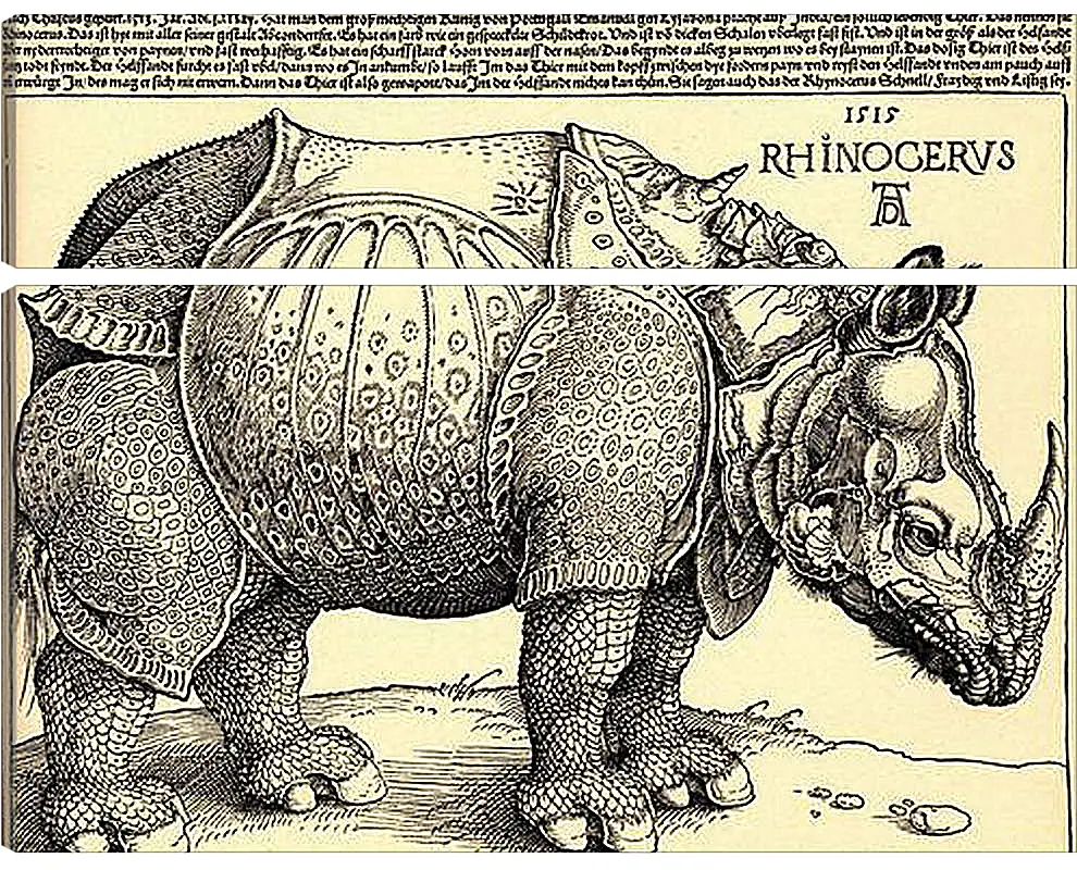 Модульная картина - Rhinoceros. Носорог. Альбрехт Дюрер