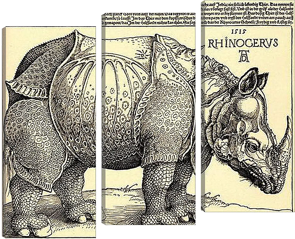 Модульная картина - Rhinoceros. Носорог. Альбрехт Дюрер