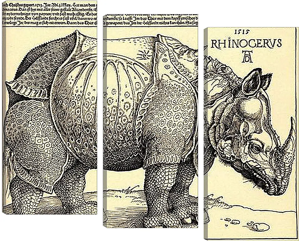 Модульная картина - Rhinoceros. Носорог. Альбрехт Дюрер