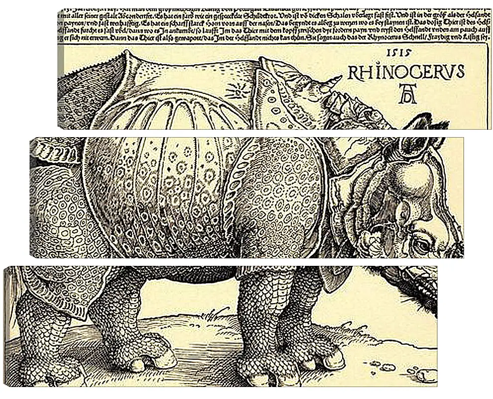 Модульная картина - Rhinoceros. Носорог. Альбрехт Дюрер