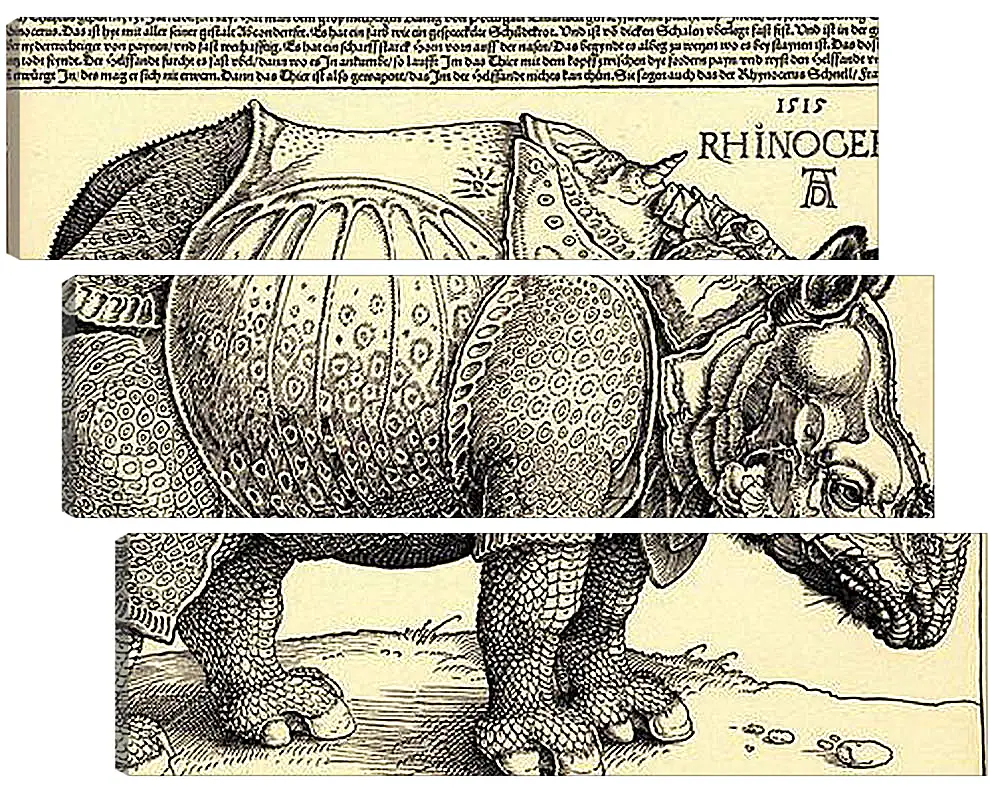 Модульная картина - Rhinoceros. Носорог. Альбрехт Дюрер