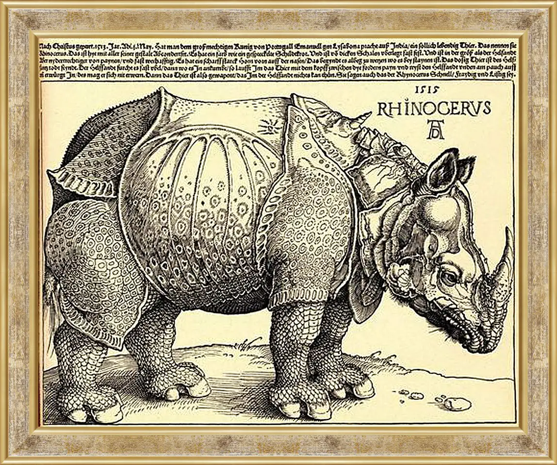 Картина в раме - Rhinoceros. Носорог. Альбрехт Дюрер